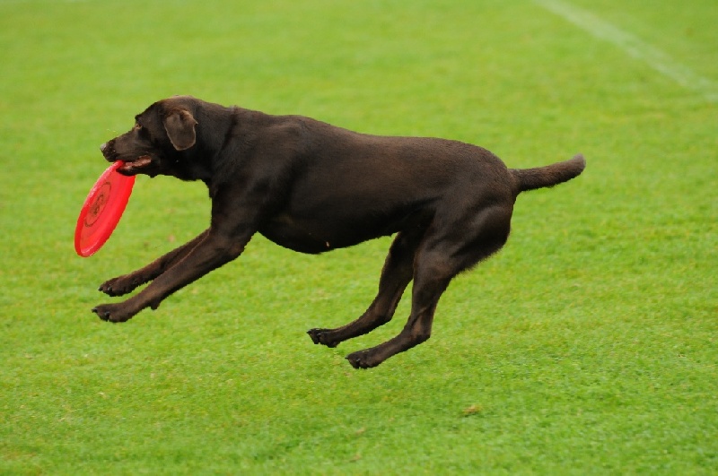 Image 58 of 855  -  198 kB