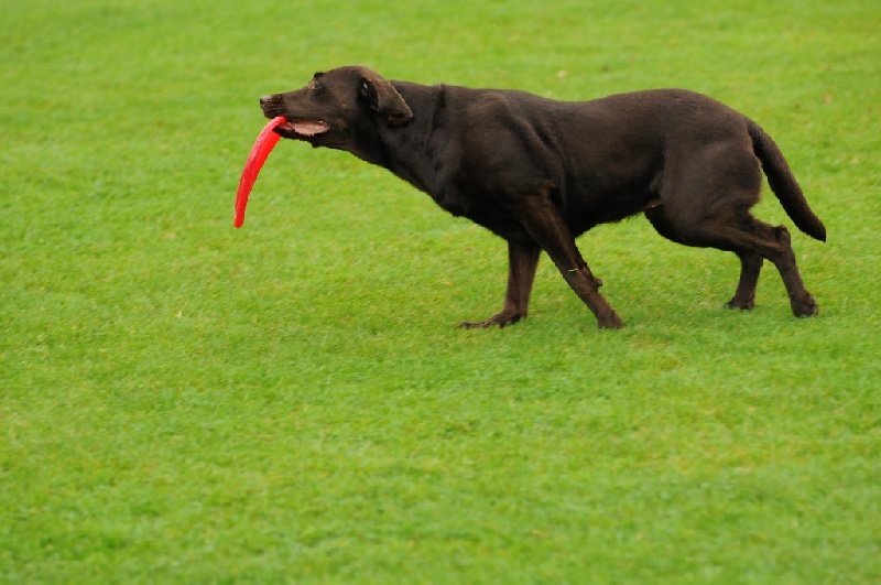 Image 59 of 855  -  203 kB