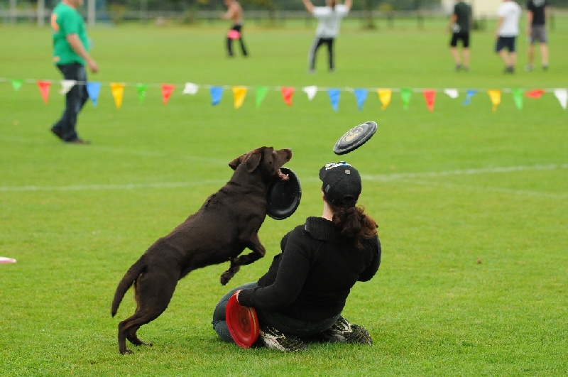 Image 60 of 855  -  206 kB