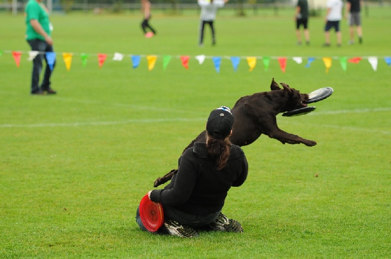 Image 61 of 855  -  207 kB