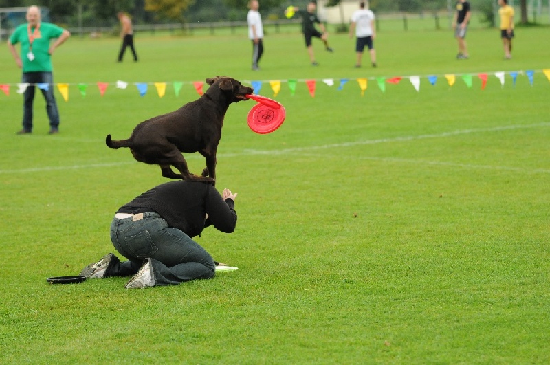 Image 62 of 855  -  226 kB