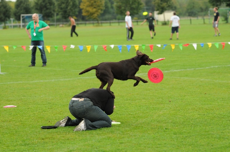 Image 63 of 855  -  225 kB