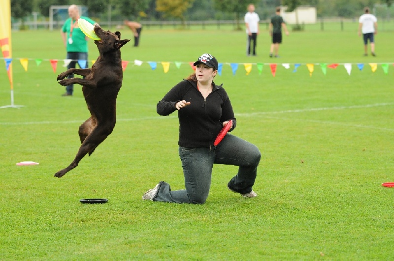 Image 64 of 855  -  230 kB