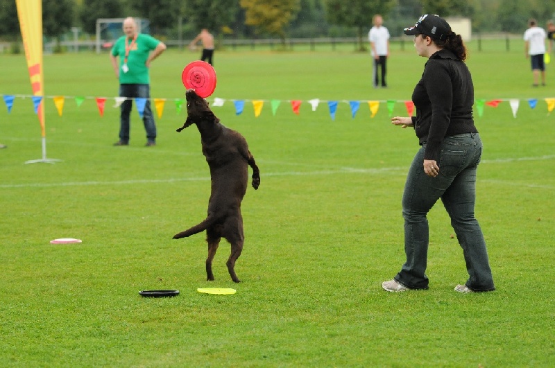 Image 65 of 855  -  229 kB