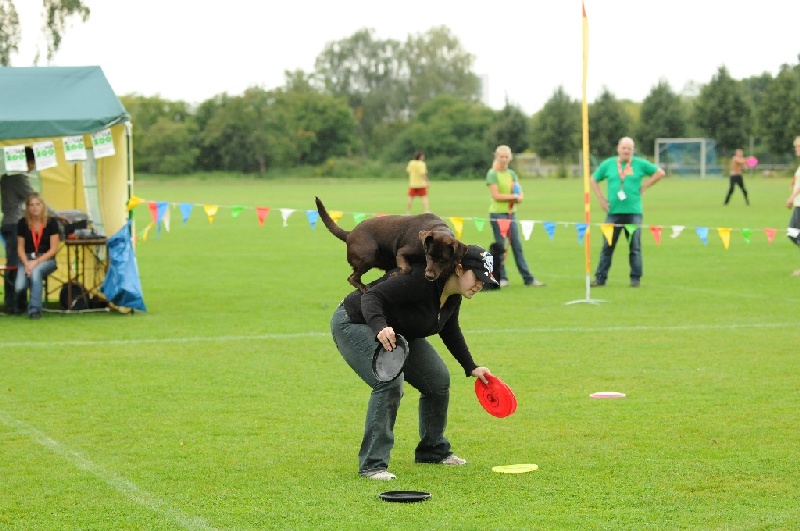 Image 66 of 855  -  222 kB