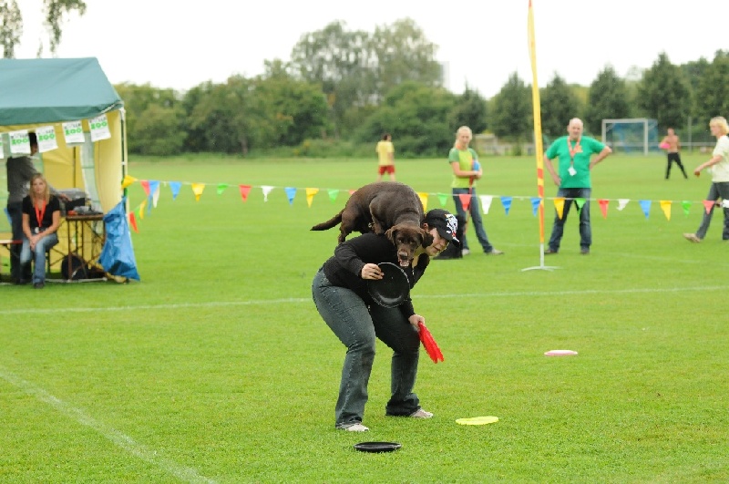 Image 67 of 855  -  228 kB