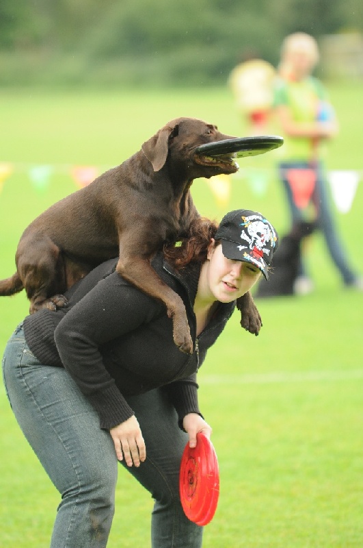 Image 68 of 855  -  187 kB