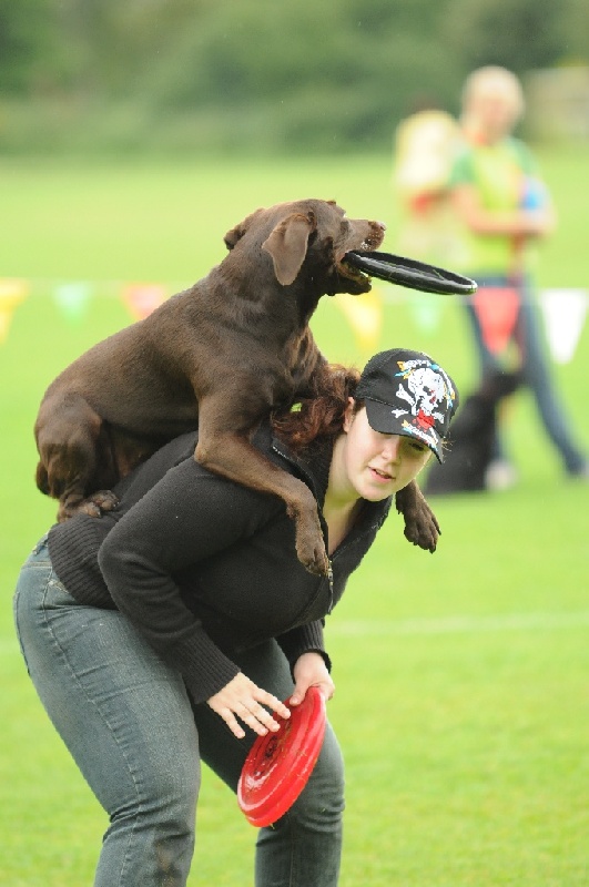 Image 69 of 855  -  188 kB