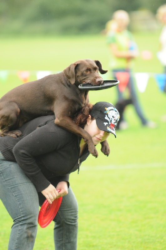 Image 70 of 855  -  170 kB