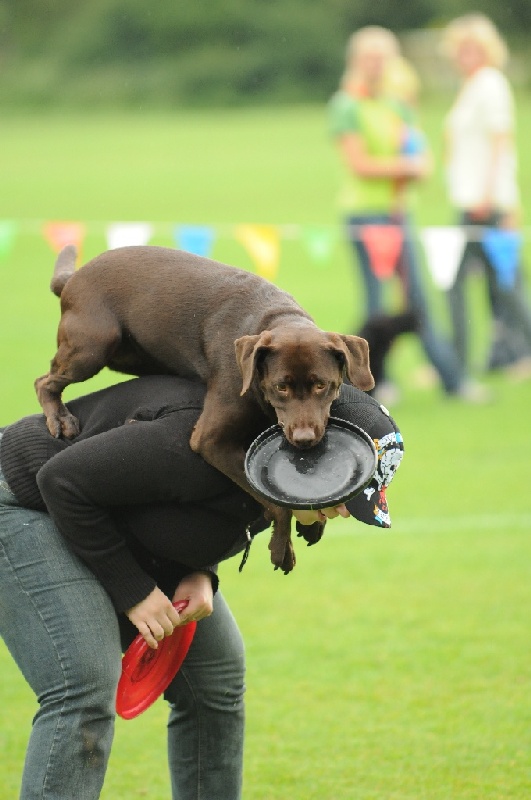 Image 71 of 855  -  181 kB