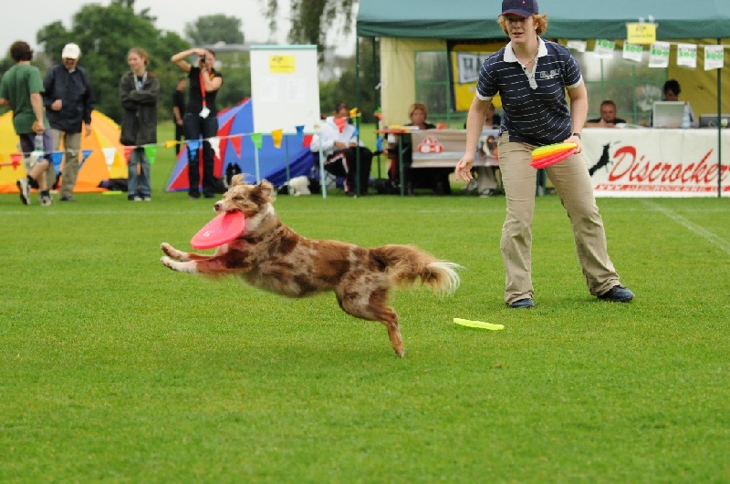 Image 73 of 855  -  246 kB