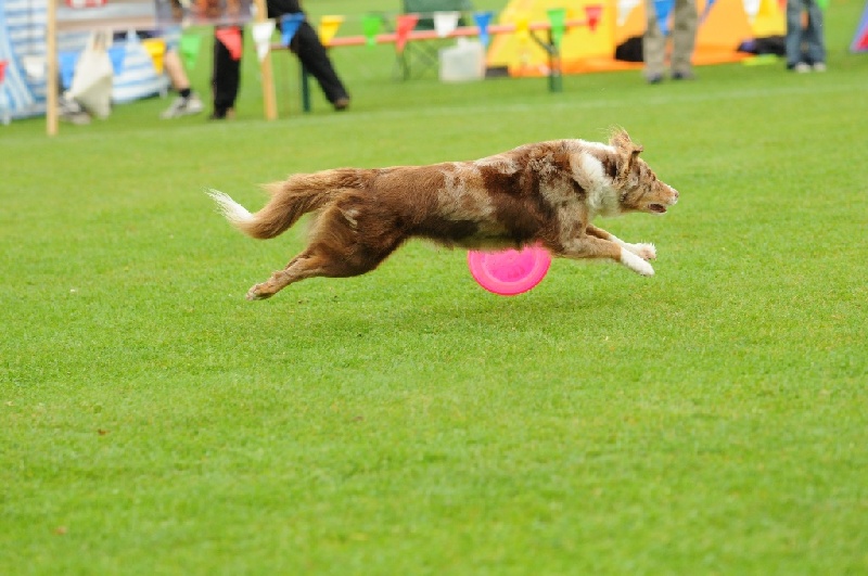 Image 74 of 855  -  213 kB