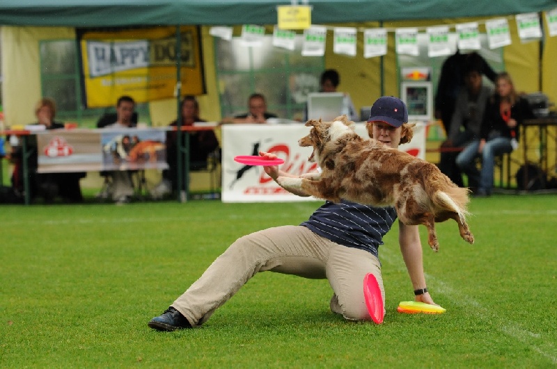 Image 75 of 855  -  230 kB