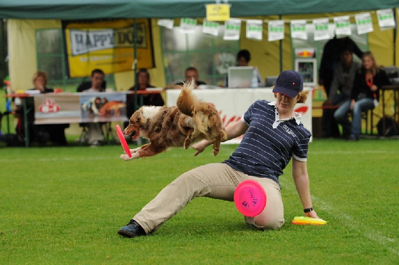 Image 76 of 855  -  234 kB