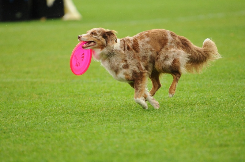 Image 77 of 855  -  199 kB