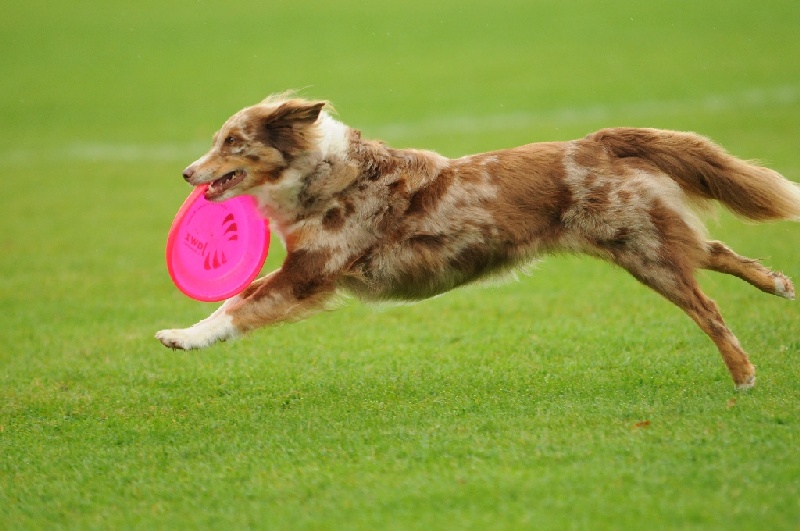 Image 78 of 855  -  204 kB