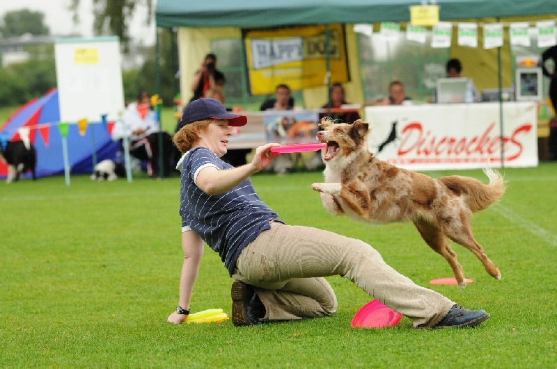 Image 79 of 855  -  240 kB