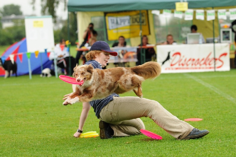 Image 80 of 855  -  230 kB