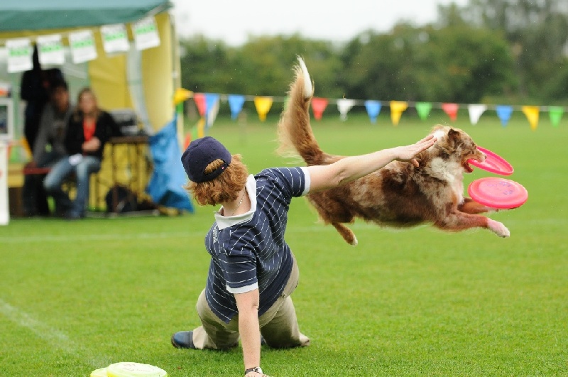 Image 82 of 855  -  213 kB