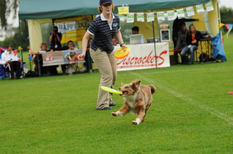 Image 83 of 855  -  235 kB