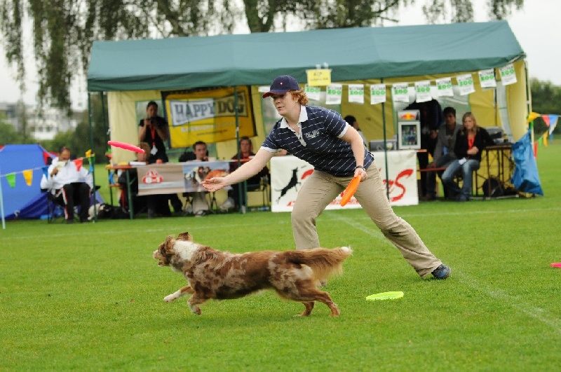 Image 84 of 855  -  249 kB