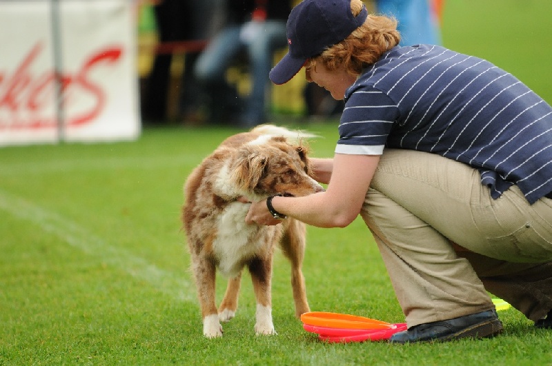 Image 85 of 855  -  219 kB