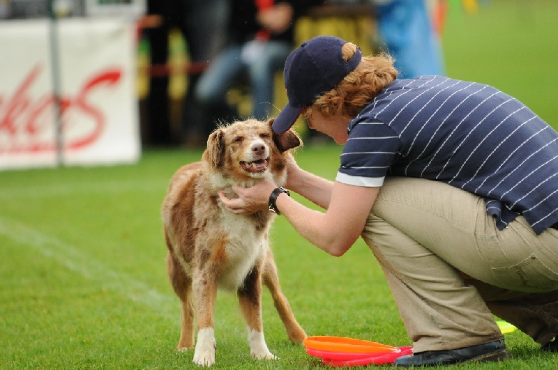 Image 86 of 855  -  219 kB