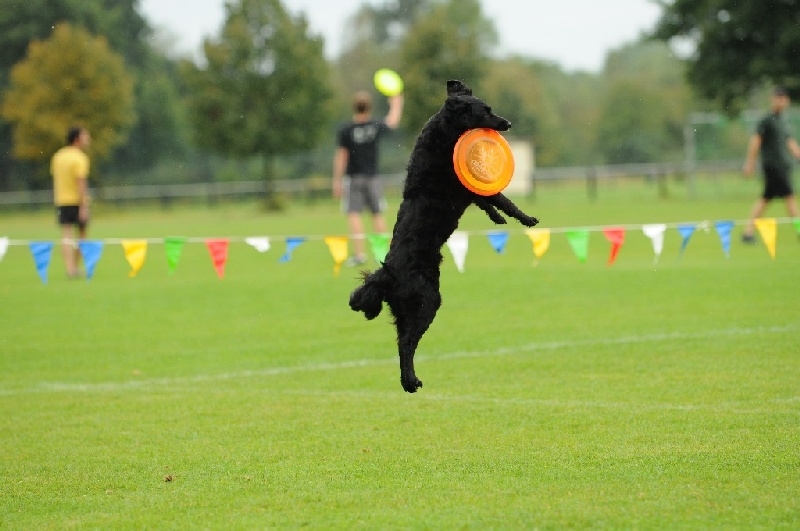 Image 87 of 855  -  194 kB