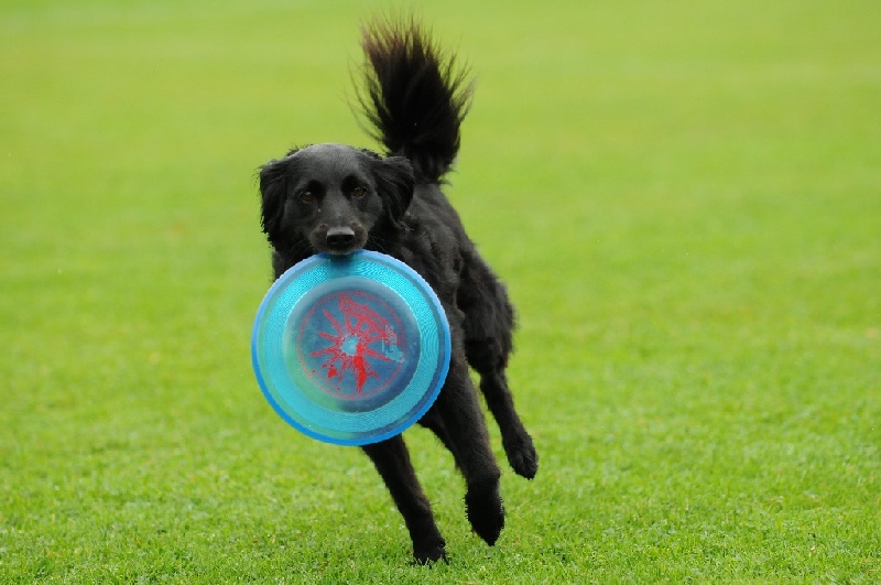 Image 89 of 855  -  193 kB