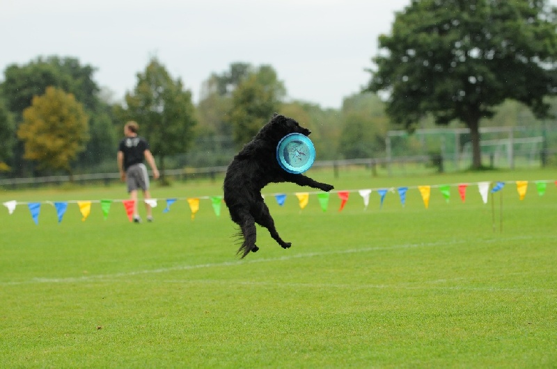 Image 91 of 855  -  198 kB