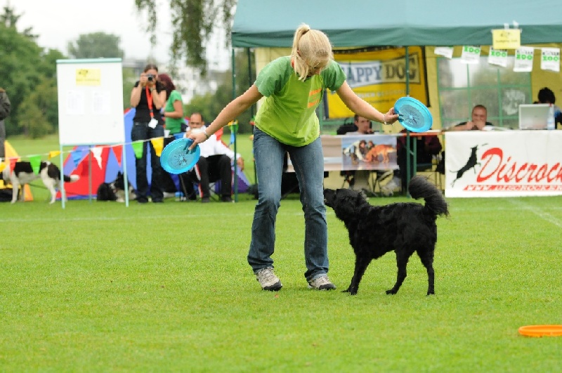 Image 92 of 855  -  237 kB