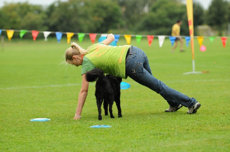 Image 93 of 855  -  214 kB