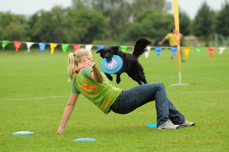 Image 95 of 855  -  215 kB