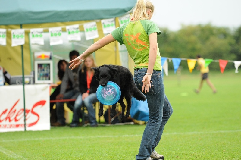 Image 98 of 855  -  204 kB