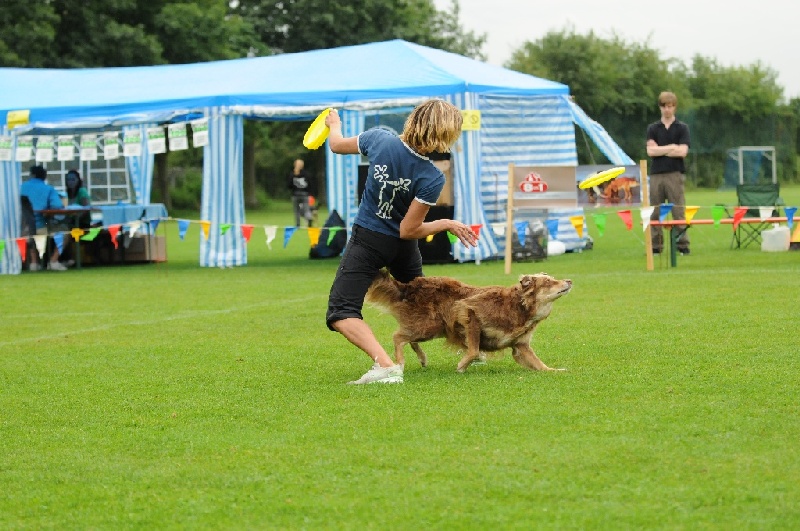 Image 101 of 855  -  247 kB