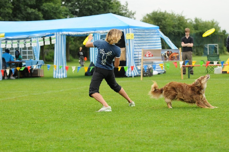 Image 102 of 855  -  248 kB