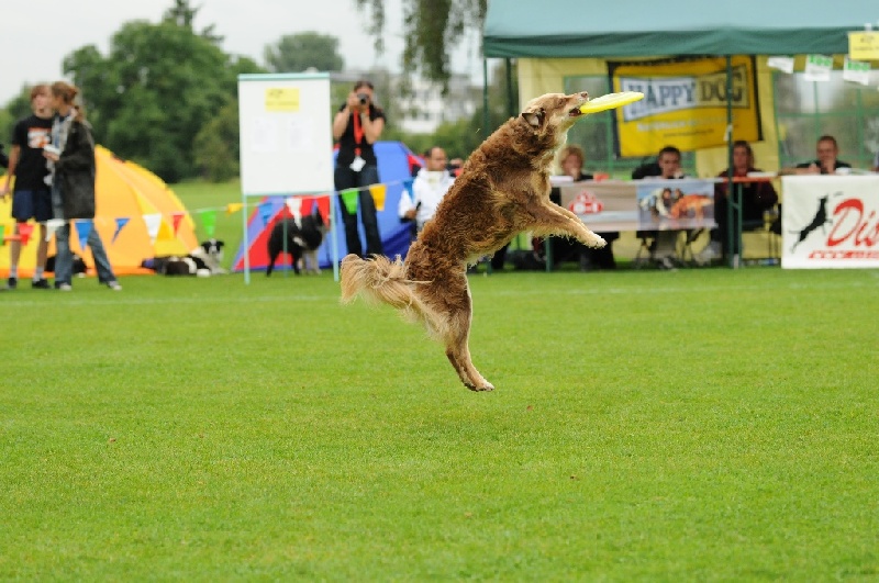 Image 103 of 855  -  235 kB