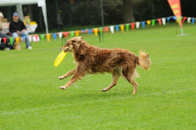 Image 104 of 855  -  219 kB