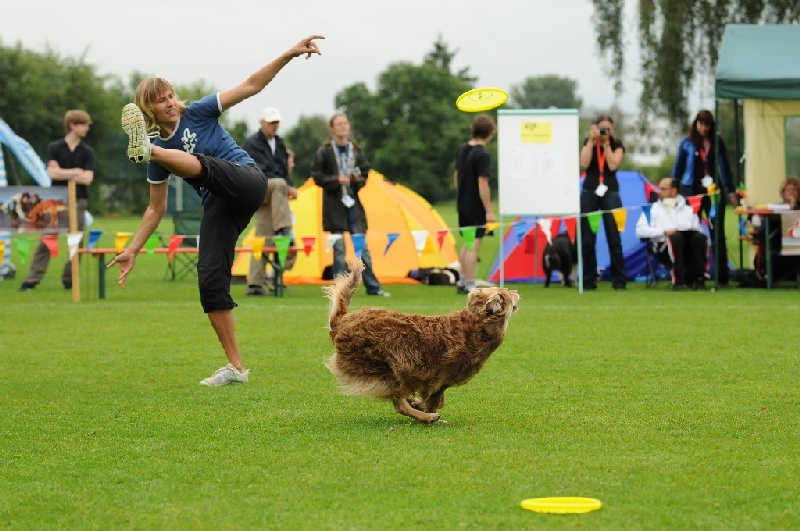 Image 105 of 855  -  236 kB