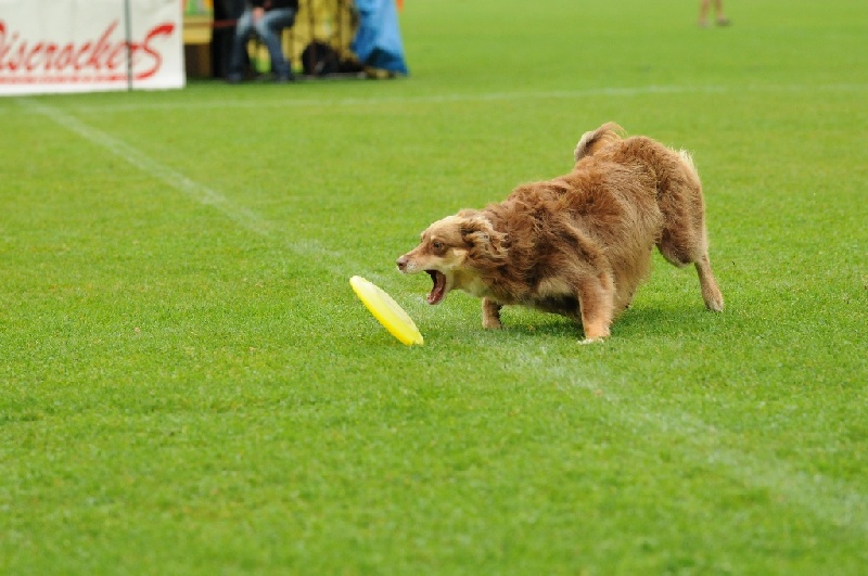 Image 106 of 855  -  212 kB