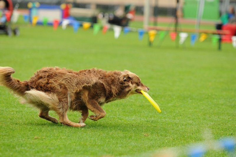 Image 107 of 855  -  209 kB