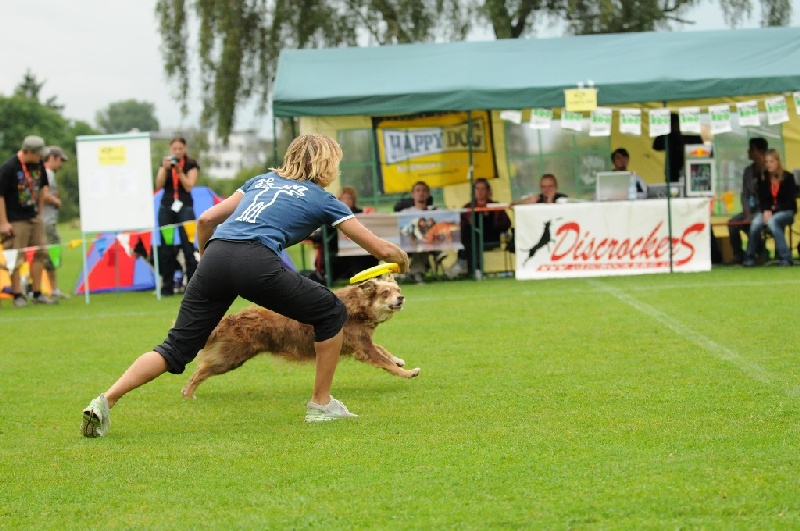 Image 109 of 855  -  242 kB