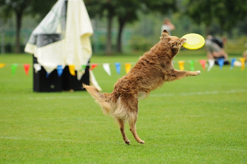 Image 111 of 855  -  208 kB