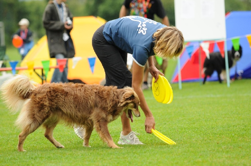 Image 112 of 855  -  228 kB