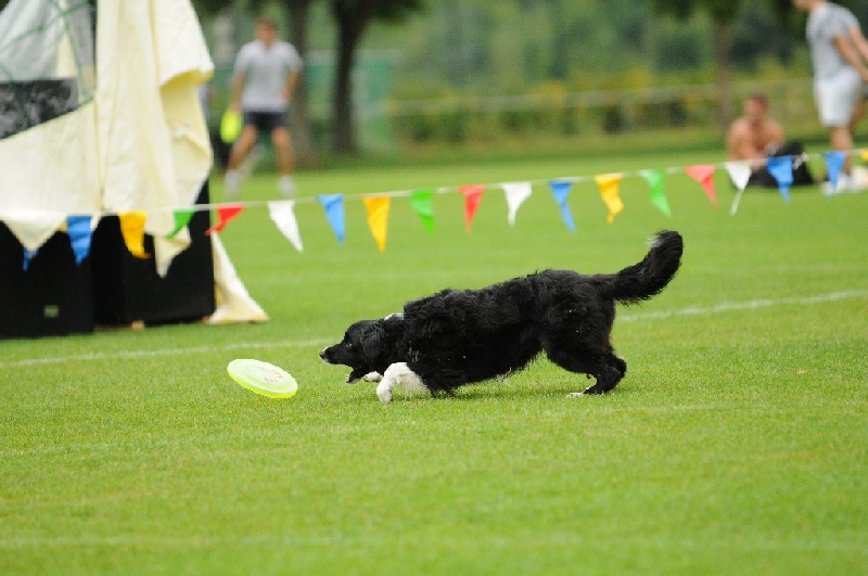 Image 114 of 855  -  205 kB