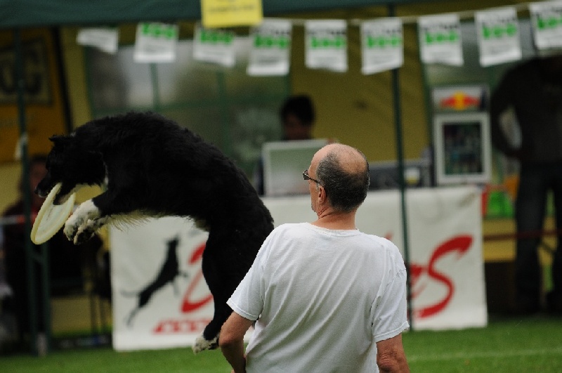 Image 115 of 855  -  184 kB