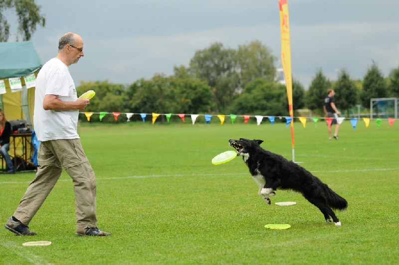 Image 116 of 855  -  223 kB