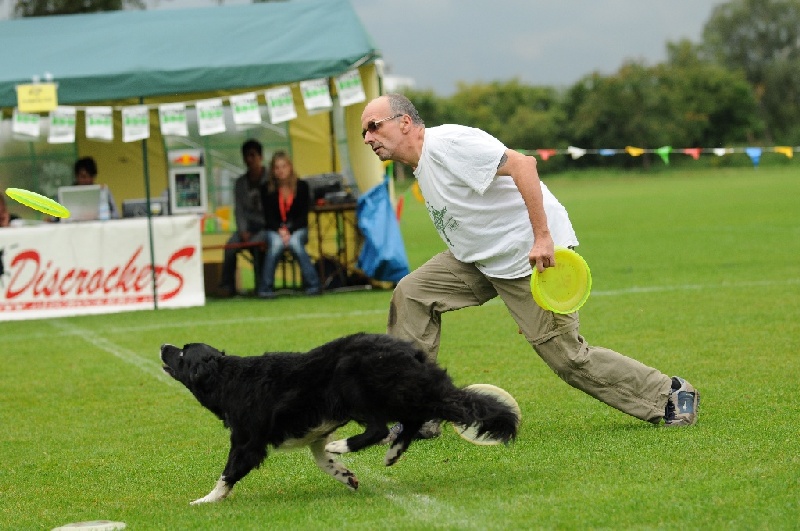 Image 117 of 855  -  230 kB