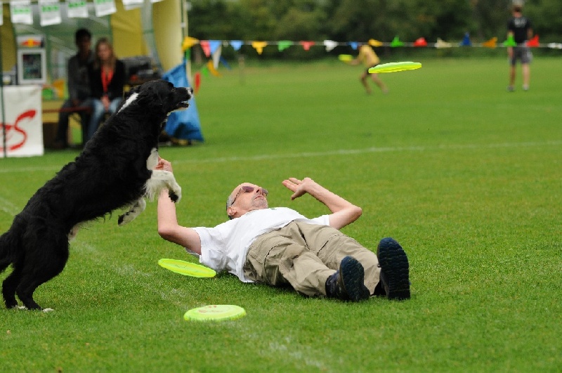 Image 118 of 855  -  224 kB