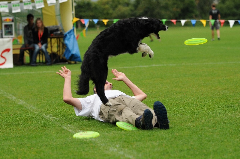 Image 119 of 855  -  226 kB